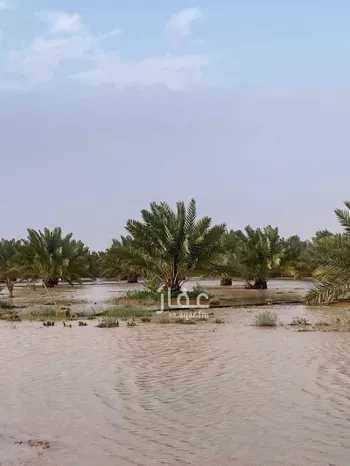 مزرعة للبيع في شارع طريق الرياض القديم, مدينة جوى, منطقة الرياض صورة 3