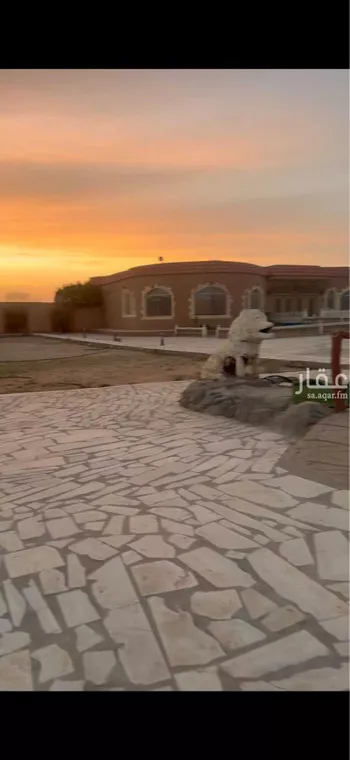 استراحة للبيع في شارع الحجاج بن عمرو بن غزية الانصاري, مدينة قريه ديراب, منطقة الرياض صورة 5