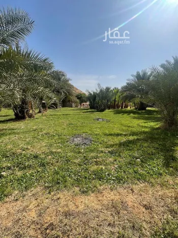 مزرعة للبيع في حي عريض, مدينة الرياض, منطقة الرياض