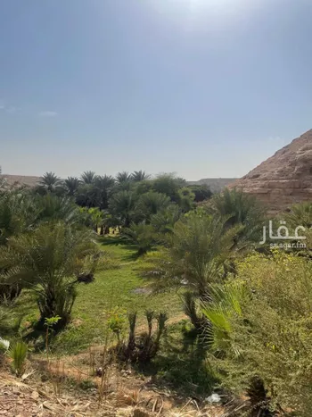مزرعة للبيع في حي عريض, مدينة الرياض, منطقة الرياض صورة 2