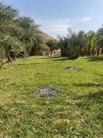 مزرعة للبيع في حي عريض, مدينة الرياض, منطقة الرياض صورة 4