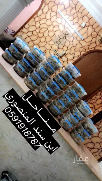 دور للإيجار في شارع عودة 61 ، القراحين ، الطائف ، الطائف