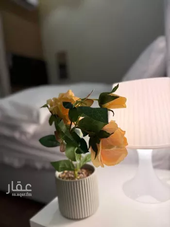 استديو مفروش للحجز في شارع القماري ، حي المونسية ، الرياض ، منطقة الرياض صورة 5
