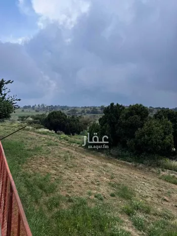 شقة مفروشة للحجز في شارع مصاولي 2941 ، شرف العوص ، منطقة عسير صورة 3