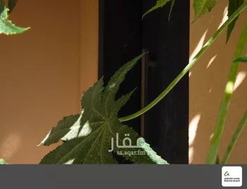 فيلا للبيع في شارع رقم 1017, حي سدرة, مدينة الرياض, منطقة الرياض صورة 3