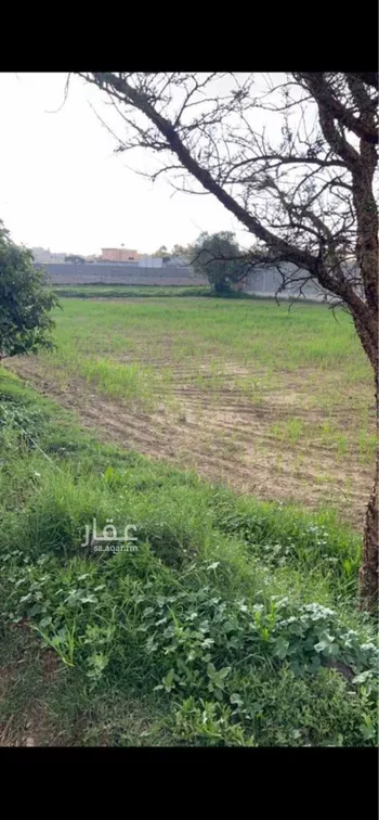 شاليه واستراحة للحجز في شارع مصاولي 3168 ، الوغل ، منطقة عسير صورة 2