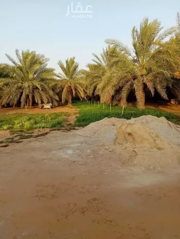 مزرعة للبيع في شارع الضبيعة 12, حي الضبيعة, مدينة الخرج, منطقة الرياض