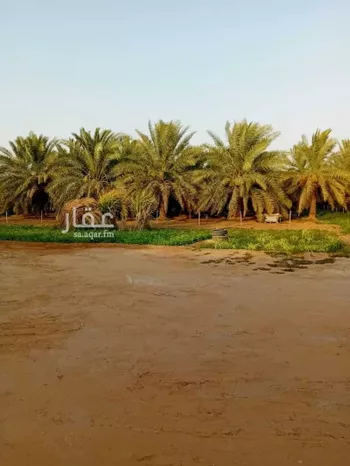 مزرعة للبيع في شارع الضبيعة 12, حي الضبيعة, مدينة الخرج, منطقة الرياض صورة 3