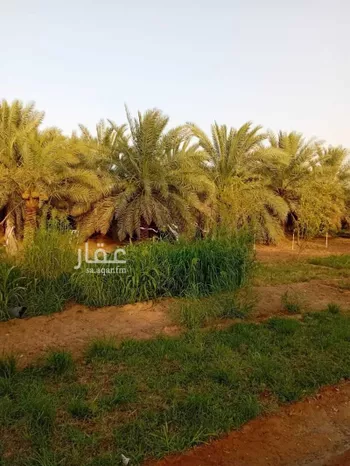 مزرعة للبيع في شارع الضبيعة 12, حي الضبيعة, مدينة الخرج, منطقة الرياض صورة 5