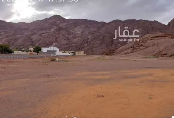 أرض للبيع في شارع صبابة, حي صبابة, مدينة حائل, منطقة حائل صورة 3