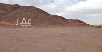 أرض للبيع في شارع صبابة, حي صبابة, مدينة حائل, منطقة حائل صورة 5
