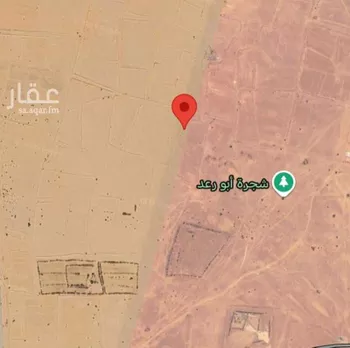 أرض للبيع في شارع لايوجد, حي الوداد, مدينة جدة, منطقة مكة المكرمة صورة 2