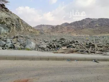 أرض للبيع في شارع ابن سيرين, حي القشاشية الجديد, مدينة مكه المكرمه, منطقة مكة المكرمة صورة 2