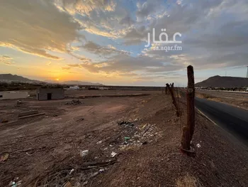 أرض للبيع في شارع طريق الهجرة, حي الحساء, مدينة المدينه المنوره, منطقة المدينة المنورة صورة 3