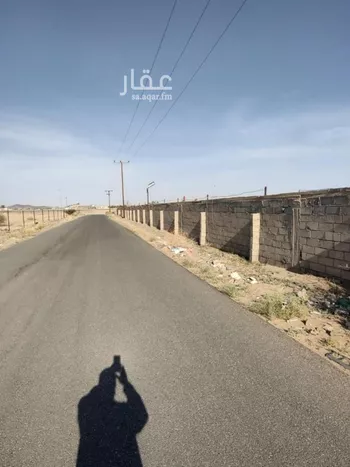 أرض للبيع في شارع شارع جامع إمام الدعوة, حي الصبيحي, مدينة بيشه, منطقة عسير صورة 3