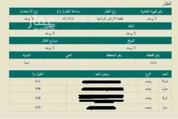 مزرعة للبيع في مدينة صبياء, منطقة جازان صورة 4