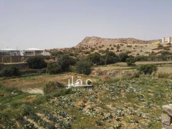 أرض للبيع في حي الهدا, مدينة امارة منطقة مكة المكرمة - الطائف, منطقة مكة المكرمة صورة 2