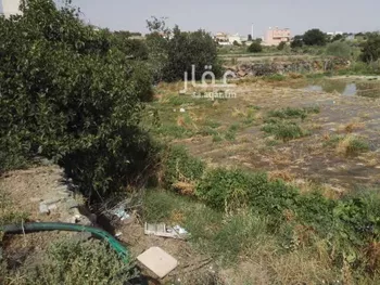 أرض للبيع في حي الهدا, مدينة امارة منطقة مكة المكرمة - الطائف, منطقة مكة المكرمة