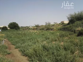 أرض للبيع في حي الهدا, مدينة امارة منطقة مكة المكرمة - الطائف, منطقة مكة المكرمة صورة 2