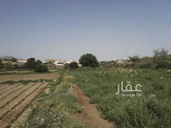 أرض للبيع في حي الهدا, مدينة امارة منطقة مكة المكرمة - الطائف, منطقة مكة المكرمة صورة 4