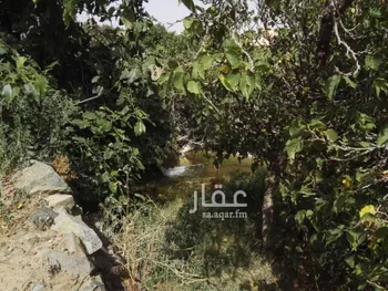 أرض للبيع في حي الهدا, مدينة امارة منطقة مكة المكرمة - الطائف, منطقة مكة المكرمة صورة 4