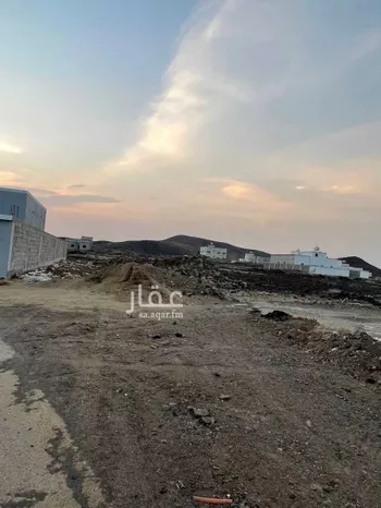 أرض للبيع في شارع 5592950, حي الحريضه, مدينة الحريضه, منطقة عسير صورة 3