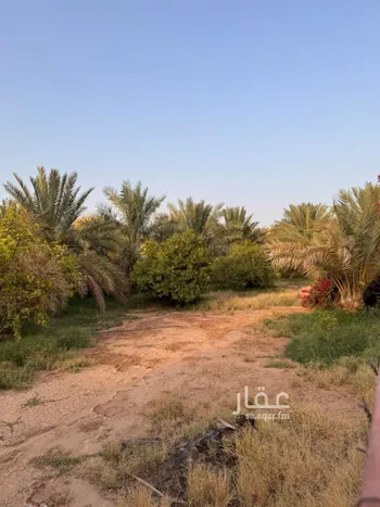 أرض للبيع في شارع الوكيل, حي الريان, مدينة الخبراء والسحابين, منطقة القصيم