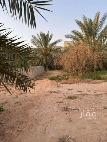 أرض للبيع في شارع الوكيل, حي الريان, مدينة الخبراء والسحابين, منطقة القصيم صورة 3
