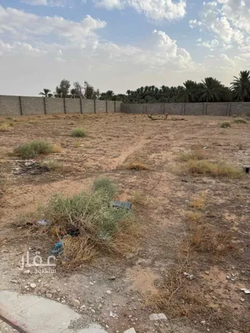 أرض للبيع في شارع الميناء ، الشيحية ، البكيرية صورة 5