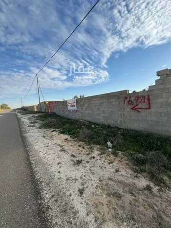 أرض للبيع في شارع الميناء ، الشيحية ، البكيرية