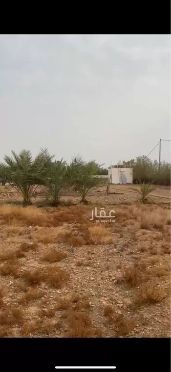 مزرعة للبيع في شارع صندل, الكدارة صورة 5