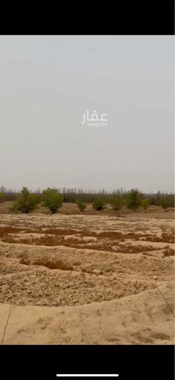 مزرعة للبيع في شارع صندل, الكدارة صورة 4