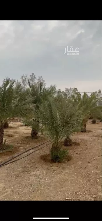 مزرعة للبيع في شارع الكدره 104 ، الكدارة ، منطقة عسير صورة 4