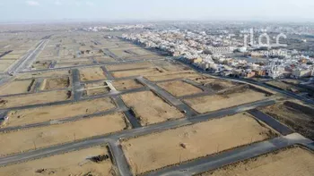 الخزامى صورة 5