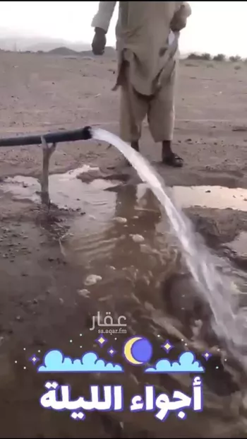 مزرعة للبيع في شارع المليليح 955, حي المليليح, مدينة المدينه المنوره, منطقة المدينة المنورة صورة 2