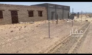 مزرعة للبيع في شارع المليليح 955, حي المليليح, مدينة المدينه المنوره, منطقة المدينة المنورة صورة 3