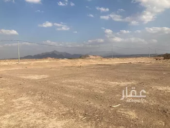 مزرعة للبيع في شارع المليليح 955, حي المليليح, مدينة المدينه المنوره, منطقة المدينة المنورة صورة 4