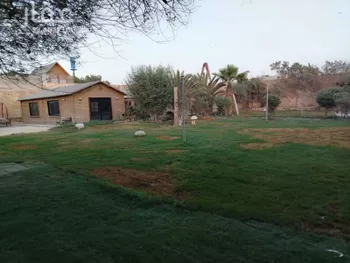استراحة للإيجار في شارع ابن شبيل, حي العارض, مدينة الرياض, منطقة الرياض صورة 5