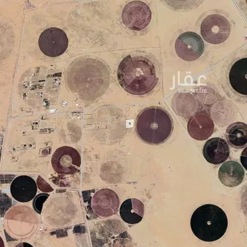أرض للبيع في مدينة امهات الذيابه, منطقة القصيم صورة 4