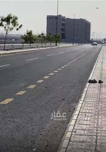 أرض للبيع في شارع البطين بن عبد الله رضي الله عنه, حي الاناهي, مدينة المدينه المنوره, منطقة المدينة المنورة صورة 3