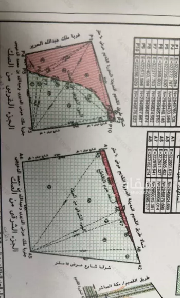 مزرعة للبيع في شارع زهير الثقفي, حي غرناطة, مدينة قصرابن عقيل, منطقة القصيم صورة 4