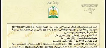 أرض للبيع في شارع الصعيدان, حي حارة الباب الجديد, مدينة مكه المكرمه, منطقة مكة المكرمة صورة 4