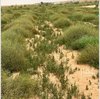 مزرعة للبيع في شارع الملك فهد, حي مزارع المشاري, مدينة مزارع المشاري, منطقة الرياض