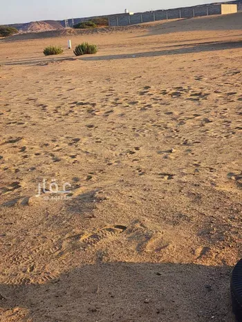 أرض للبيع في حي الوداد, مدينة جدة, منطقة مكة المكرمة