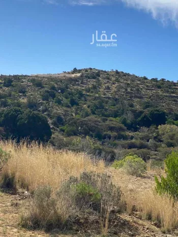 أرض للبيع في حي السلام, مدينة بلسمر, منطقة عسير صورة 4