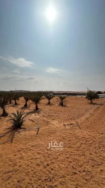 مزرعة للبيع في شارع لا يوجد, حي الياسمين, مدينة المزاحميه, منطقة الرياض