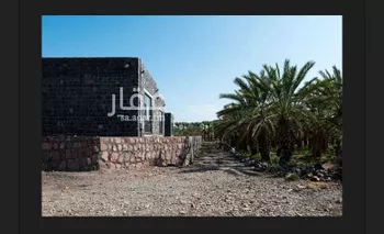 مزرعة للبيع في شارع ابار الماشي 356, حي ابيار الماشي, مدينة المدينه المنوره, منطقة المدينة المنورة صورة 5