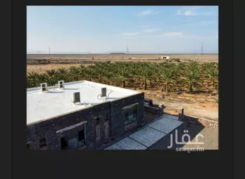 مزرعة للبيع في شارع ابار الماشي 356, حي ابيار الماشي, مدينة المدينه المنوره, منطقة المدينة المنورة صورة 3