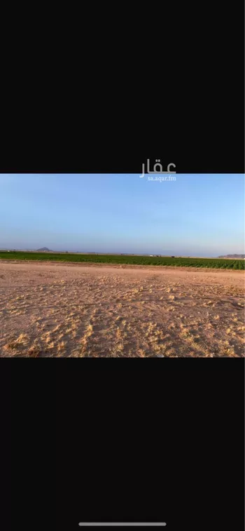 مزرعة للبيع في شارع العام, حي جانين, مدينة جانين, منطقة حائل صورة 2
