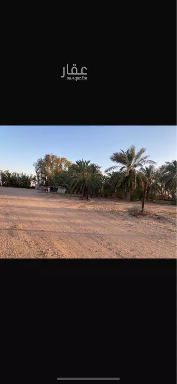 مزرعة للبيع في شارع العام, حي جانين, مدينة جانين, منطقة حائل صورة 3